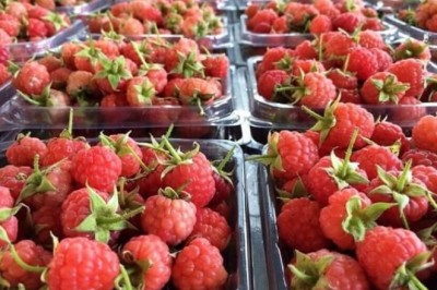 Dinh dưỡng: Đây là loại trái cây số 1 bạn nên ăn mỗi ngày