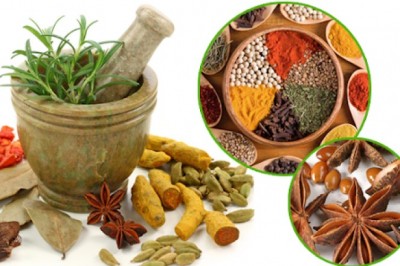 Các bài thuốc Đông y hỗ trợ trị các bệnh liên quan đến đường hô hấp