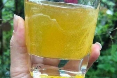 Kinh doanh: Loại mật ong 'trời cho' chỉ một nơi có bị 'nhái' bằng hàng Trung Quốc