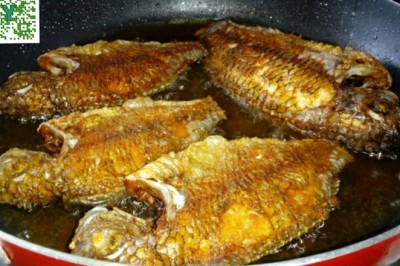 Tại sao cá ướp muối rán không bị sát chảo?