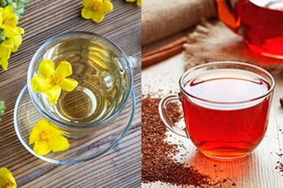 Top những loại trà tốt nhất dành cho người mắc bệnh hen suyễn