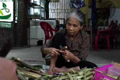 Nam Định: Kiếm tiền triệu nhờ trồng niễng