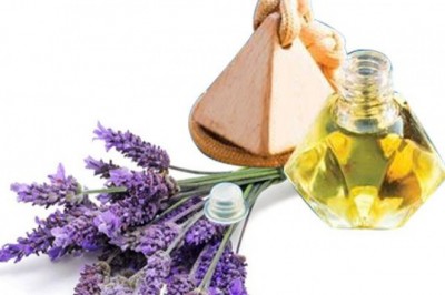 Những mùi hương tự nhiên giúp bạn cải thiện tâm trạng và hiệu suất làm việc