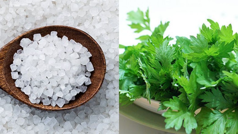 Bí quyết chữa đau vai gáy cực hiệu quả từ muối hạt và ngải cứu