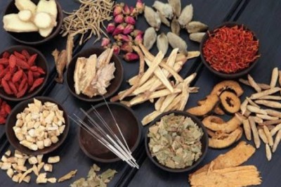 Dùng thuốc bổ trong Đông y: Hư đâu bổ đó