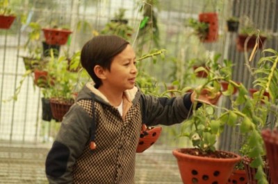 Chàng trai 8X nuôi dưỡng ước mơ làm giàu từ hoa phong lan