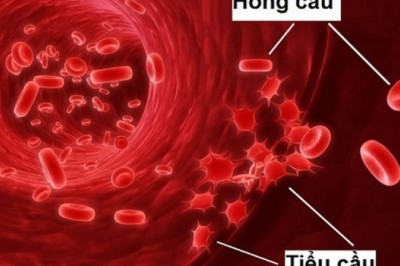 5 chất dinh dưỡng giúp tăng số lượng hồng cầu của bạn