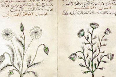 Dược liệu học