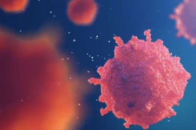 Những loại gia vị và thảo mộc chống ung thư