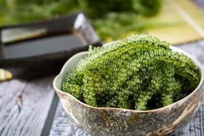 Rong nho - siêu thực phẩm phòng chống ung thư tự nhiên bạn không nên bỏ qua