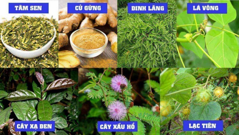 Bệnh Mất ngủ: Nguyên Nhân, Biểu Hiện, tác hại và những phương pháp trị bệnh