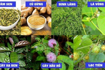 Bệnh Mất ngủ: Nguyên Nhân, Biểu Hiện, tác hại và những phương pháp trị bệnh