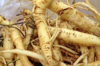 Đảng sâm công dụng và tác dụng, bài thuốc chữa bệnh từ Đảng Sâm