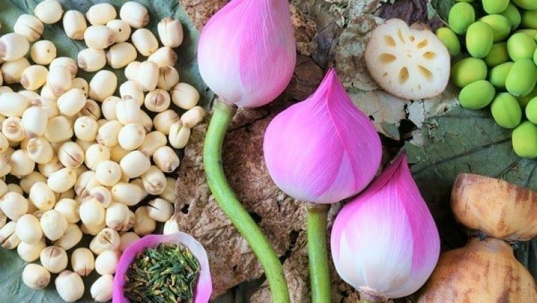 Những lợi ích tuyệt vời của hạt sen đối với sức khỏe