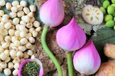 Những lợi ích tuyệt vời của hạt sen đối với sức khỏe