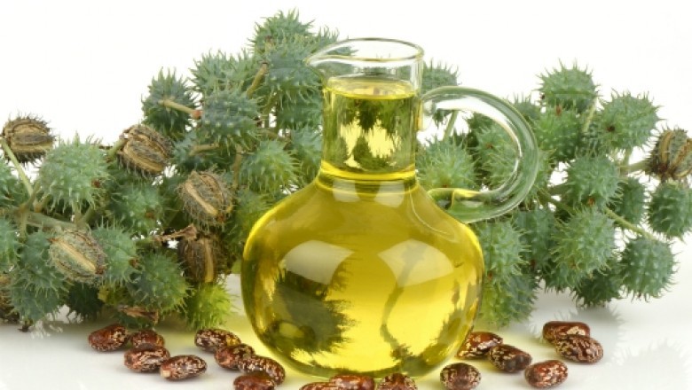 Dầu thầu dầu - mỹ phẩm thiên nhiên cho da và tóc