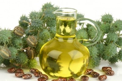 Dầu thầu dầu - mỹ phẩm thiên nhiên cho da và tóc