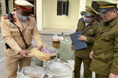 Ngăn chặn hơn một tấn dược liệu nhập lậu định tuồn về Hà Nội