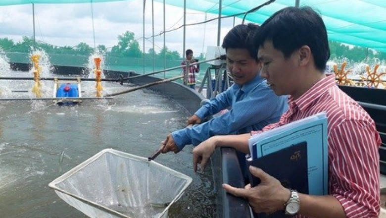 168 tỷ đồng thúc đẩy khoa học công nghệ ngành nông nghiệp