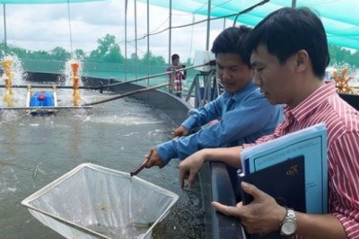168 tỷ đồng thúc đẩy khoa học công nghệ ngành nông nghiệp