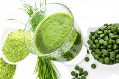 Thực hư về những tác dụng 'thần kỳ' của tảo mặt trời