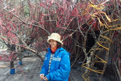 Tết nguyên đán 2021 sẽ cấm chơi đào rừng