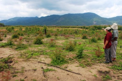 Chuyển đổi mục đích sử dụng đất có cần phù hợp quy hoạch?