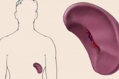 Lách to có nguy hiểm?