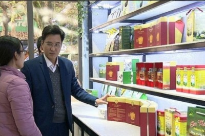 Sản xuất đông trùng hạ thảo bán tự nhiên: Mở hướng làm giàu nơi vùng biên