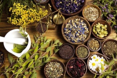 Những loài thảo dược tốt cho người huyết áp cao