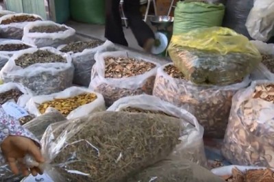 Thông tư gỡ vướng cho doanh nghiệp nhập khẩu dược liệu