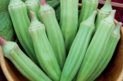 Tại sao đậu bắp được mệnh danh là 'vua' của các loại rau?