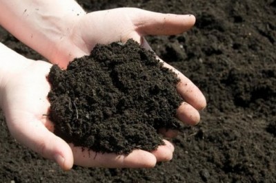 Tại sao đất có màu nâu mà không phải xanh, đỏ, tím, vàng?