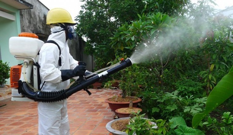 Diệt côn trùng có phạm giới sát sanh không?