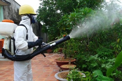 Diệt côn trùng có phạm giới sát sanh không?