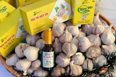 Ăn tỏi có ngừa Covid-19?