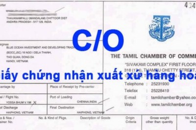 Để được ủy quyền cấp Giấy chứng nhận xuất xứ hàng hóa (C/O), cần những điều kiện nào?