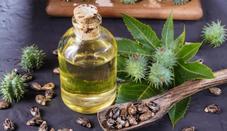 Tinh dầu kích thích lông mày mọc nhanh, đen nhánh đón Tết