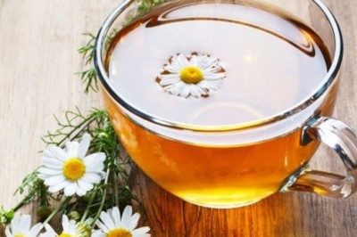 Uống nhiều trà hoa cúc có tốt không?