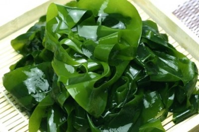 Bài thuốc hay từ rong biển