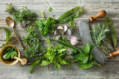 Những bài thuốc nam hỗ trợ chữa viêm dạ dày hiệu quả