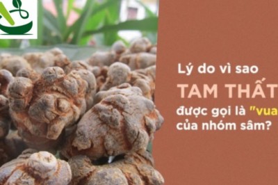 Kiên trì uống mỗi ngày một thìa bột này, giáo sư Đông y hơn 70 tuổi nhưng vẫn trẻ như 50