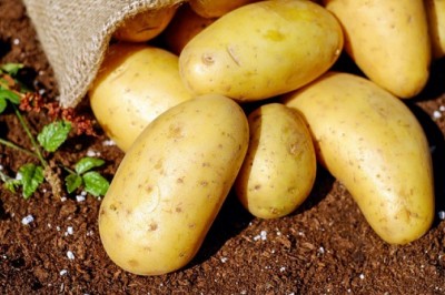 Tại sao khoai tây được mệnh danh là 'sát thủ' của bệnh ung thư dạ dày?