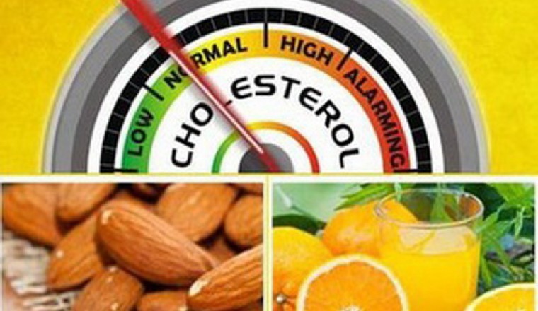 Những loại trái cây giúp kiểm soát cholesterol xấu trong máu