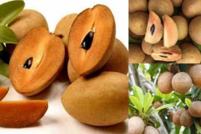 6 công dụng của quả hồng xiêm có thể bạn chưa biết