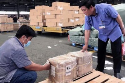 Dược liệu an xoa Quảng Trị xuất khẩu thành công sang Mỹ