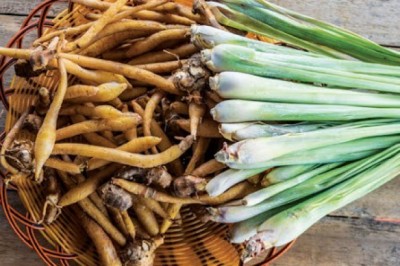 Thực hư ngải bún có thể phòng ngừa COVID-19