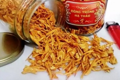 Cảnh giác đông trùng hạ thảo giá rẻ thực chất là nhộng trùng thảo chỉ có tác dụng như nấm ăn