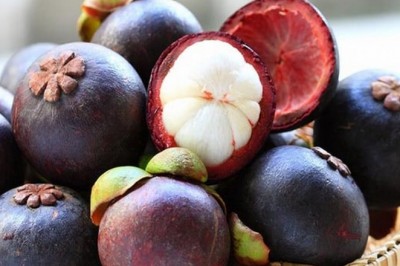 Qủa măng cụt rất tốt nhưng vì sao có những người không nên ăn quả măng cụt?