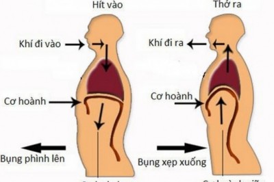 Khuyến cáo của Hội Đông y Việt Nam trong dự phòng lây nhiễm COVID-19